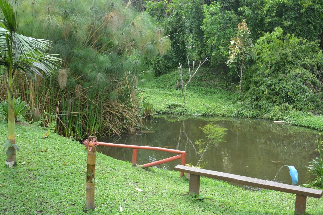 Sitio E Pousada Recanto Dos Ipes Teresopolis Exterior photo